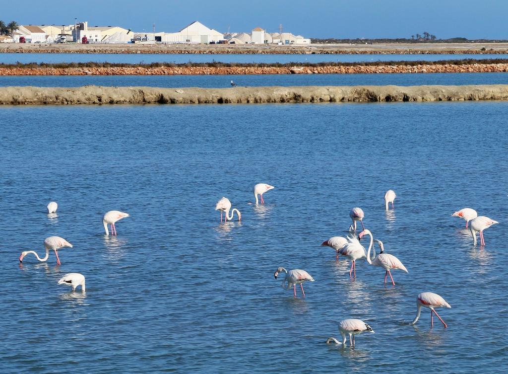 Masquestar Mar Menor Daire Torre-Pacheco Dış mekan fotoğraf